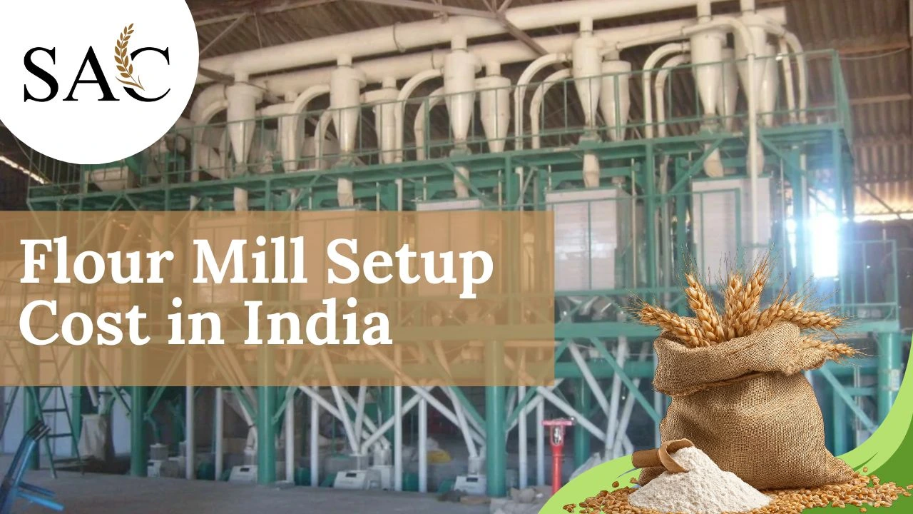 Read more about the article Flour Mill Setup Cost in India