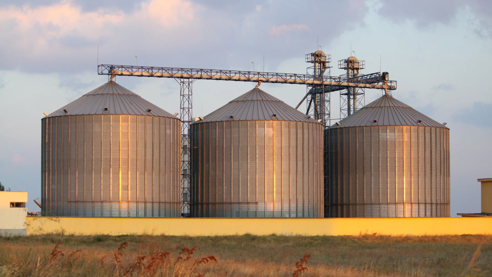 Grain Storage & Handling Industry