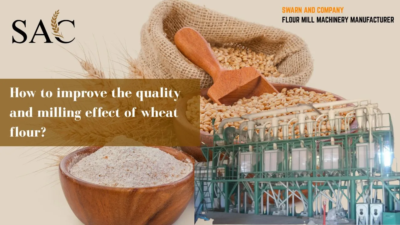 Read more about the article How to improve the quality and milling effect of wheat flour?