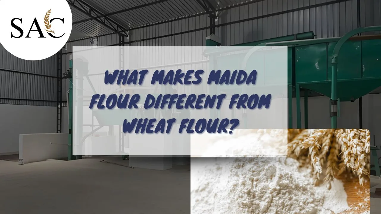 Read more about the article What Makes Maida Flour Different from Wheat Flour?
