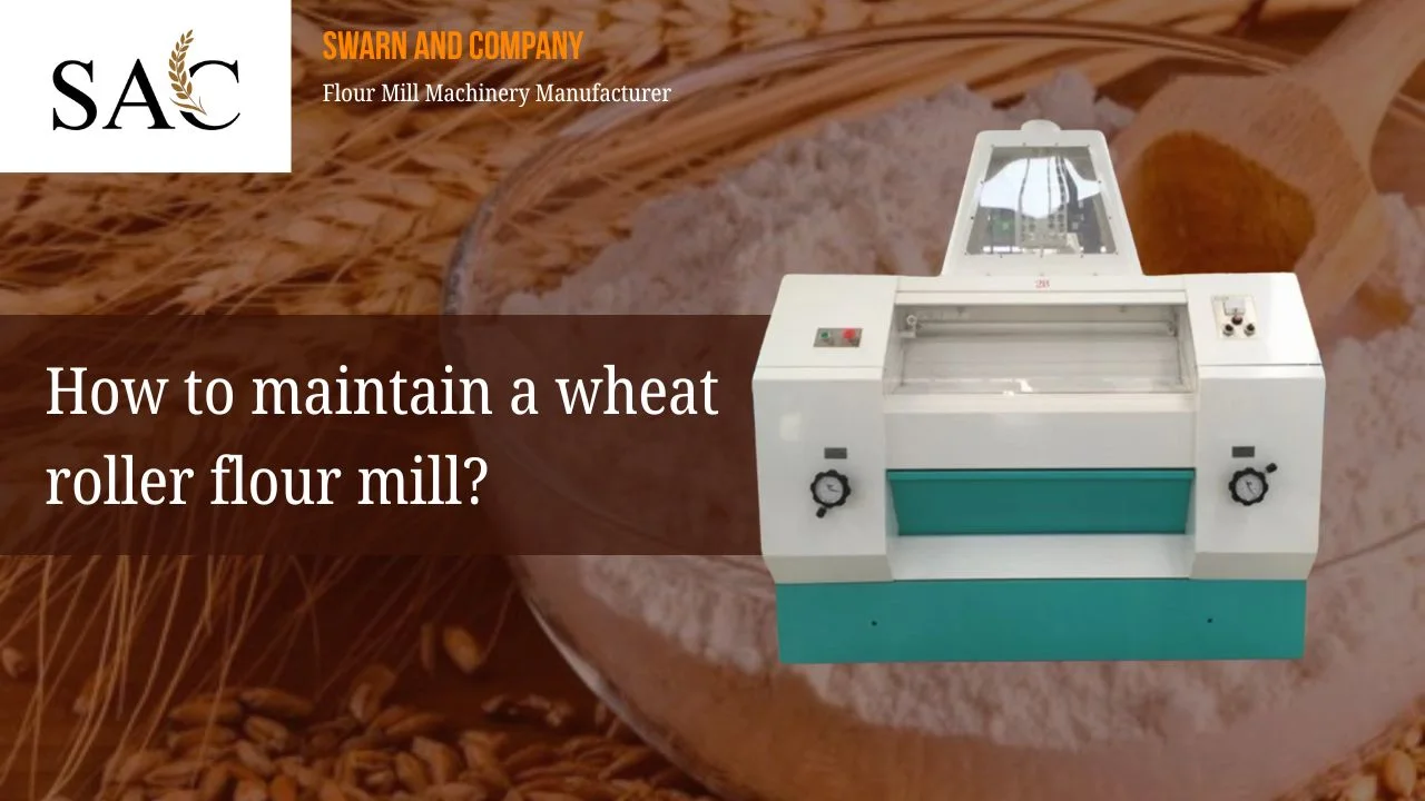 Read more about the article How to maintain a wheat roller flour mill?