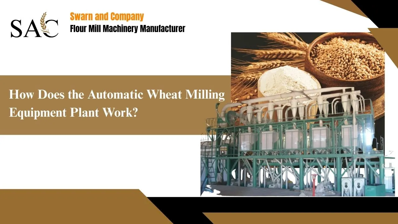 Read more about the article How Does the Automatic Wheat Milling Equipment Plant Work?