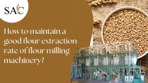 Read more about the article How to maintain a good flour extraction rate of flour milling machinery?