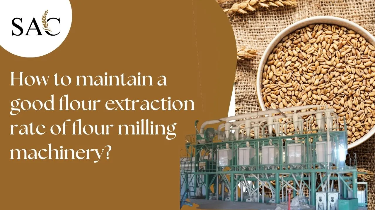 Read more about the article How to maintain a good flour extraction rate of flour milling machinery?