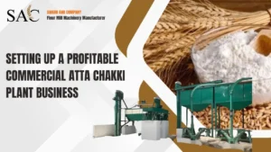 Read more about the article Setting Up a Profitable Commercial Atta Chakki Plant Business